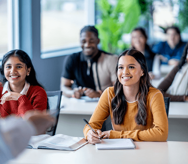 Learner experience
