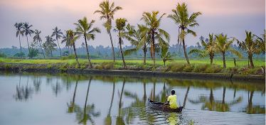 Cochin office